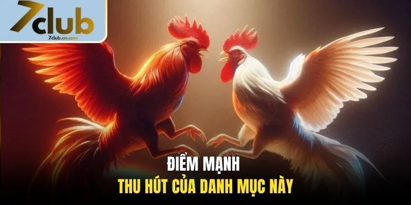 Điểm mạnh thu hút của danh mục này