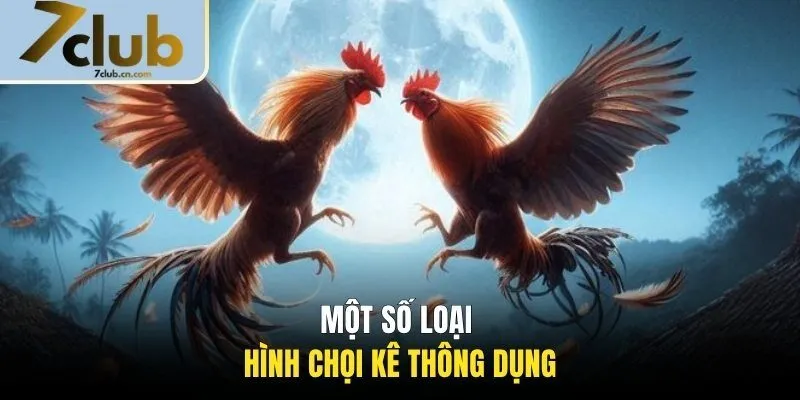 Một số loại hình chọi kê thông dụng
