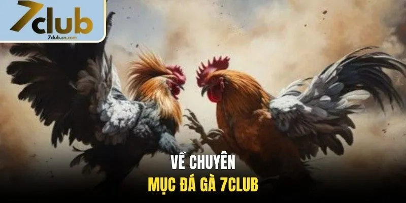 Thông tin chung về chuyên mục đá gà 7CLUB 