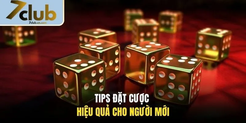Tips đặt cược hiệu quả cho người mới